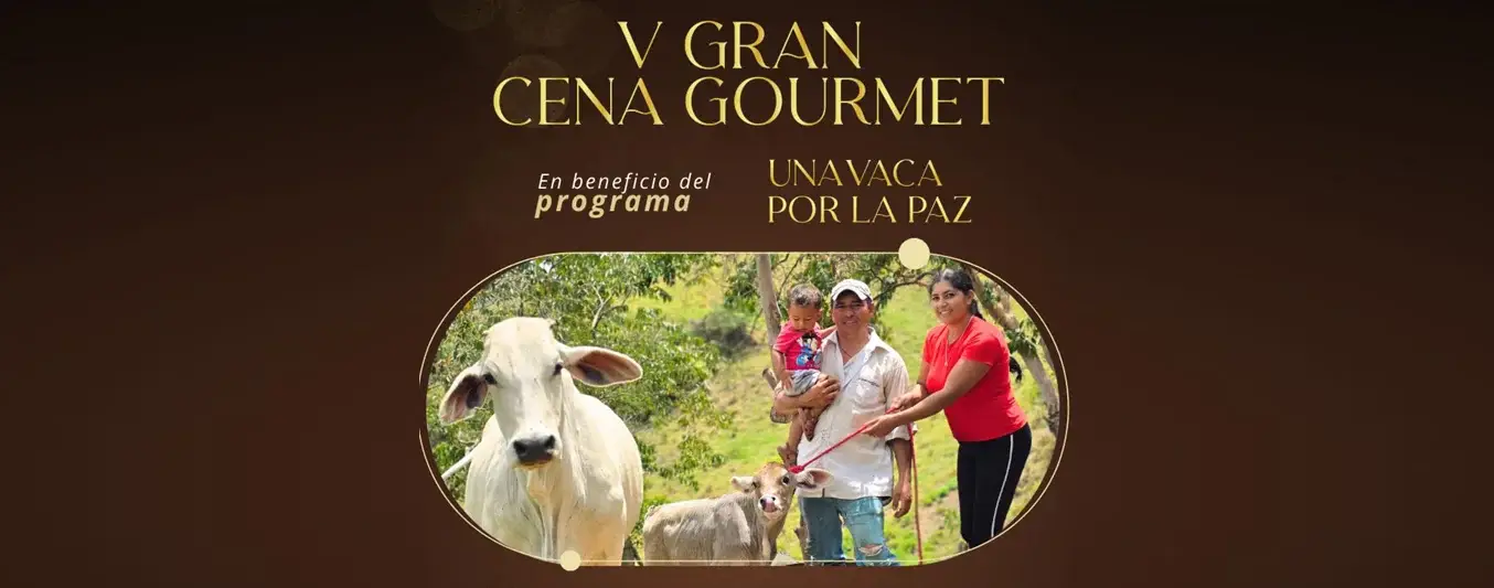 Vaca por la paz
