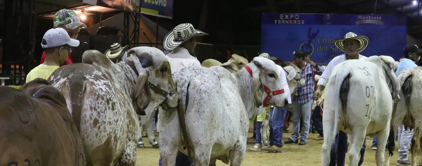 Expoterneros rompe récord en inscripciones