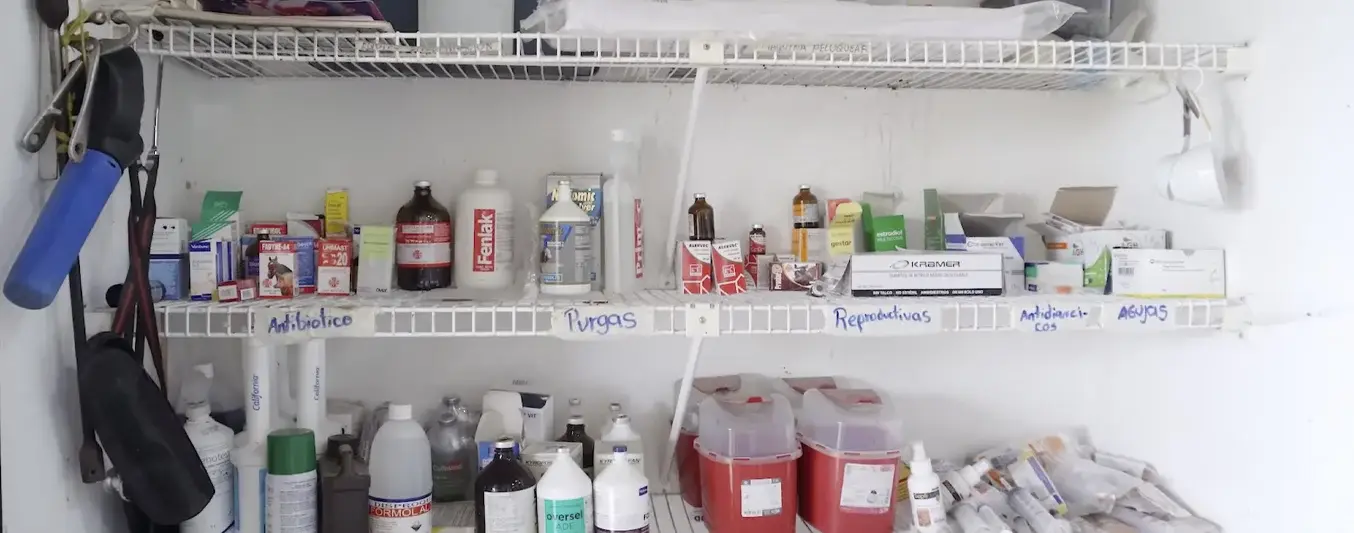 BPG: Uso de medicamentos y alimentación
