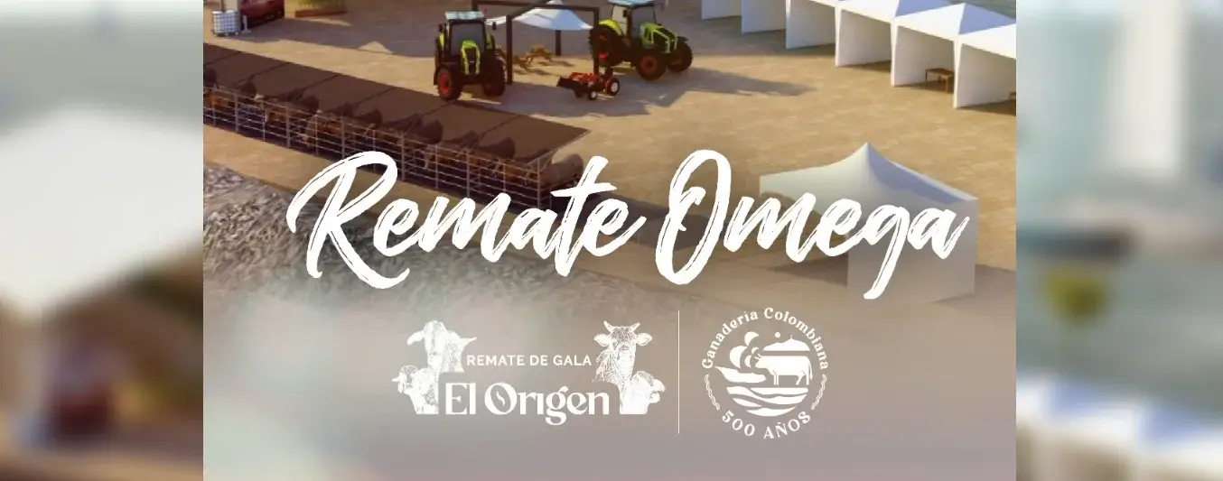 El remate más esperado del año: Omega, El Origen