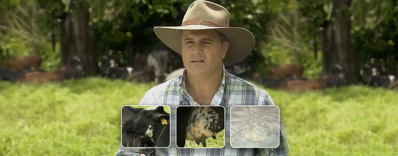 Alberto Hoyos, el ganadero pionero en leche A2A2 en Colombia