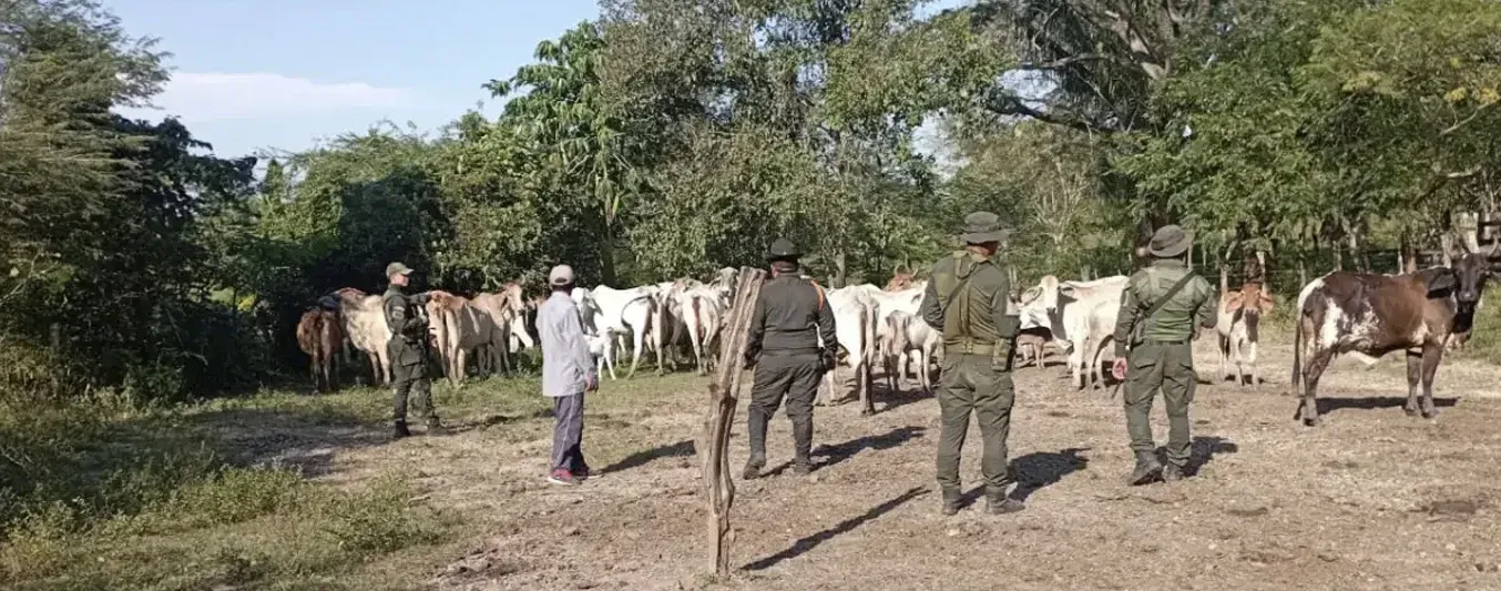 Inseguridad - abigeato