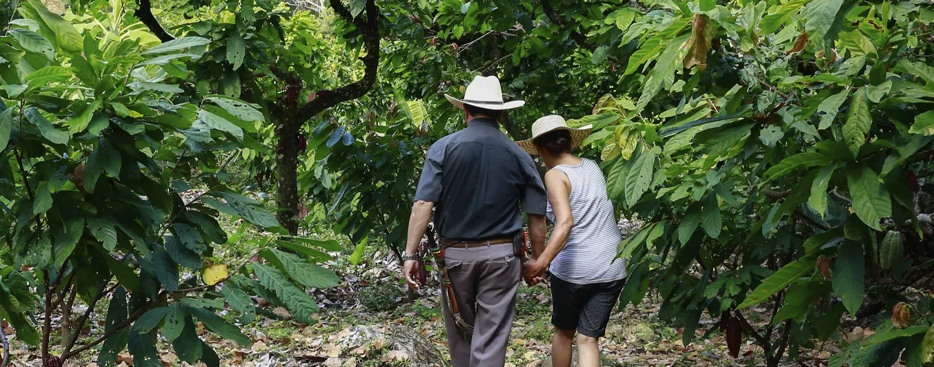 Derecho a la propiedad de la tierra