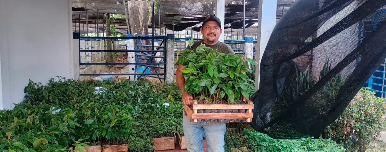 Ganaderos mejorarán competitividad: reciben 19.000 árboles para reforzar sostenibilidad en sus predios