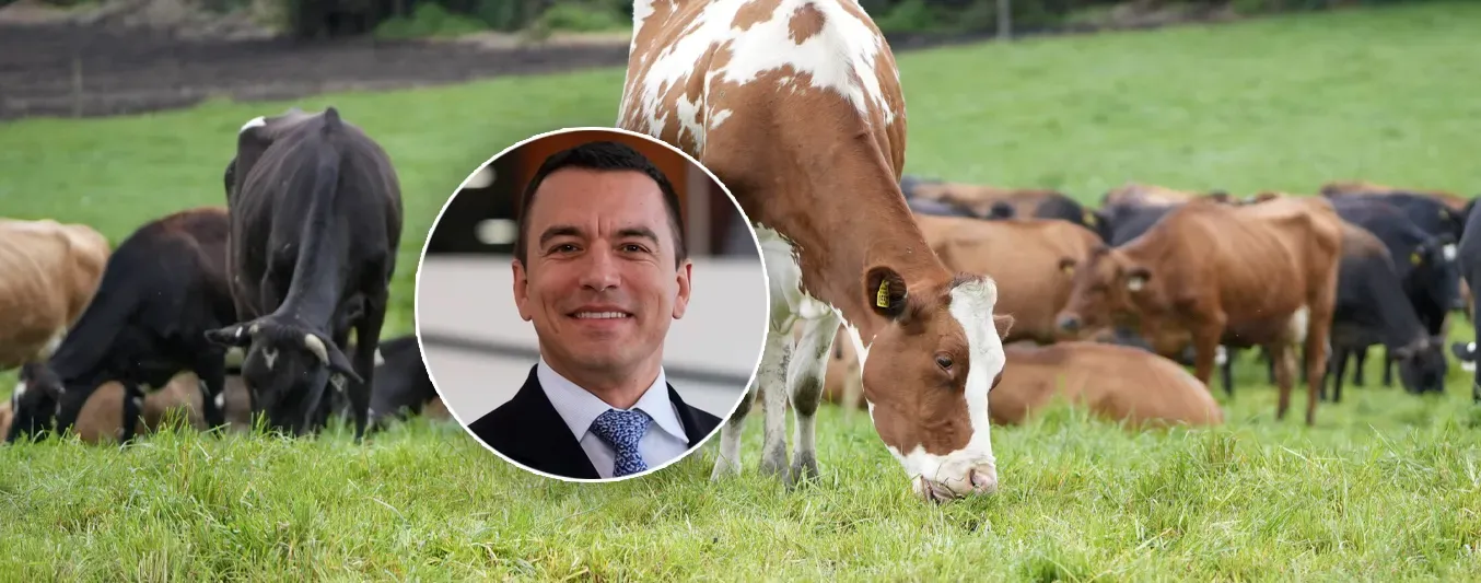 Gobierno del presidente Daniel Noboa impulsa la ganadería regenerativa