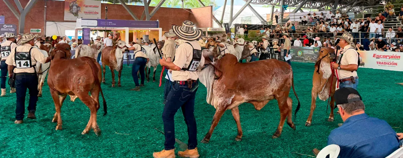 Comcebor en Expomalocas 2026