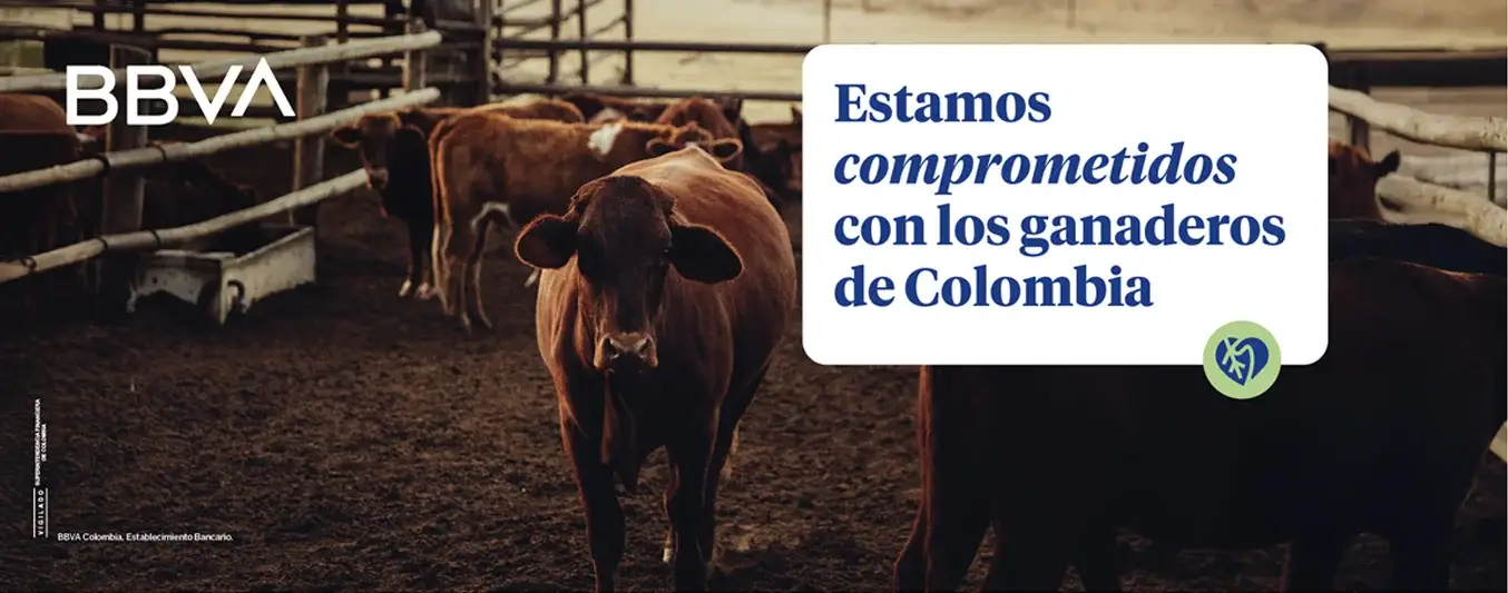 BBVA comprometidos con los ganaderos de Colombia