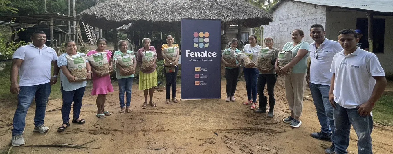 Fenalce entregó más de 33 mil kilos de semillas de maíz y fríjol caupí