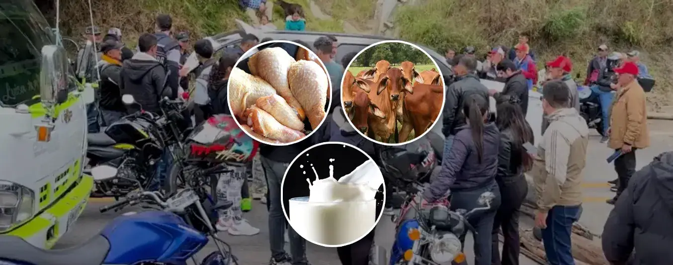 Balance de pérdidas de leche, huevos, pollo, por bloqueos