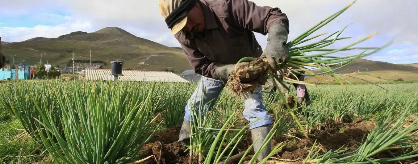 Aval de la Corte a Jurisdicción Agraria y Rural
