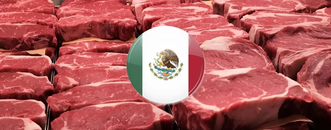 México rompe su equilibrio ganadero y pierde autosuficiencia en carne de res