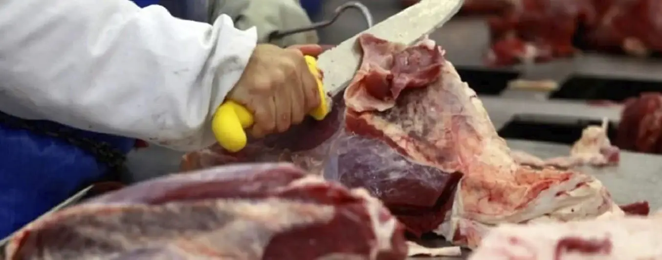 El mercado interno de carne bovina