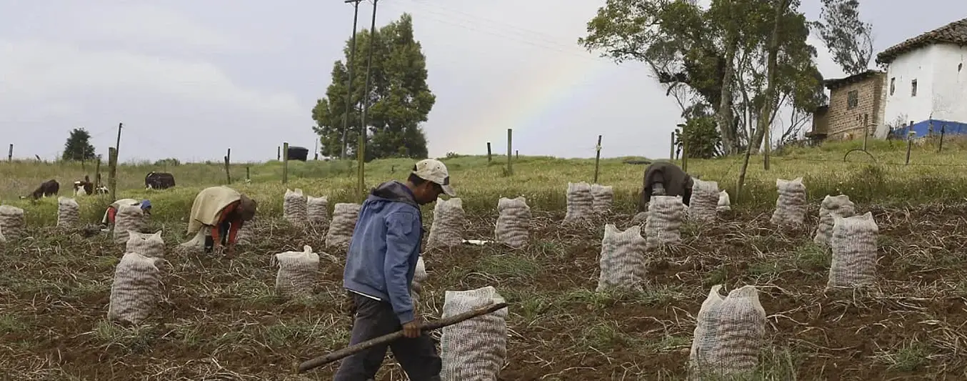 quienes son campesinos