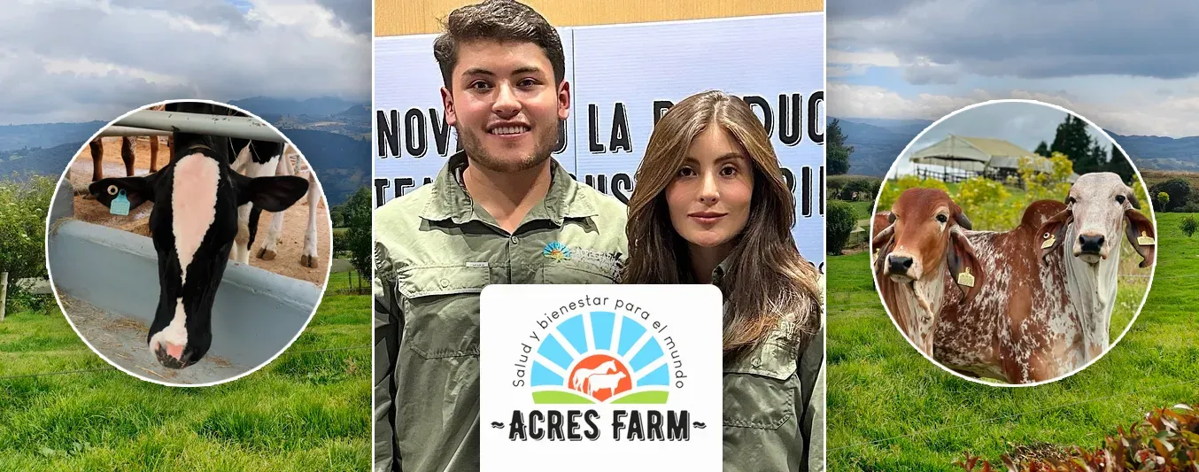 Acres Farm, la ganadería autosostenible dirigida por jóvenes que se posiciona en Cundinamarca