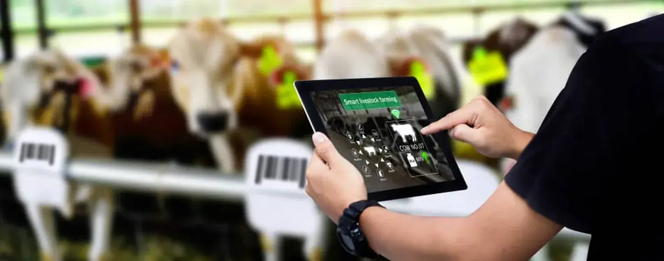 Digitalización de la venta de ganado ¿Cómo ha evolucionado?