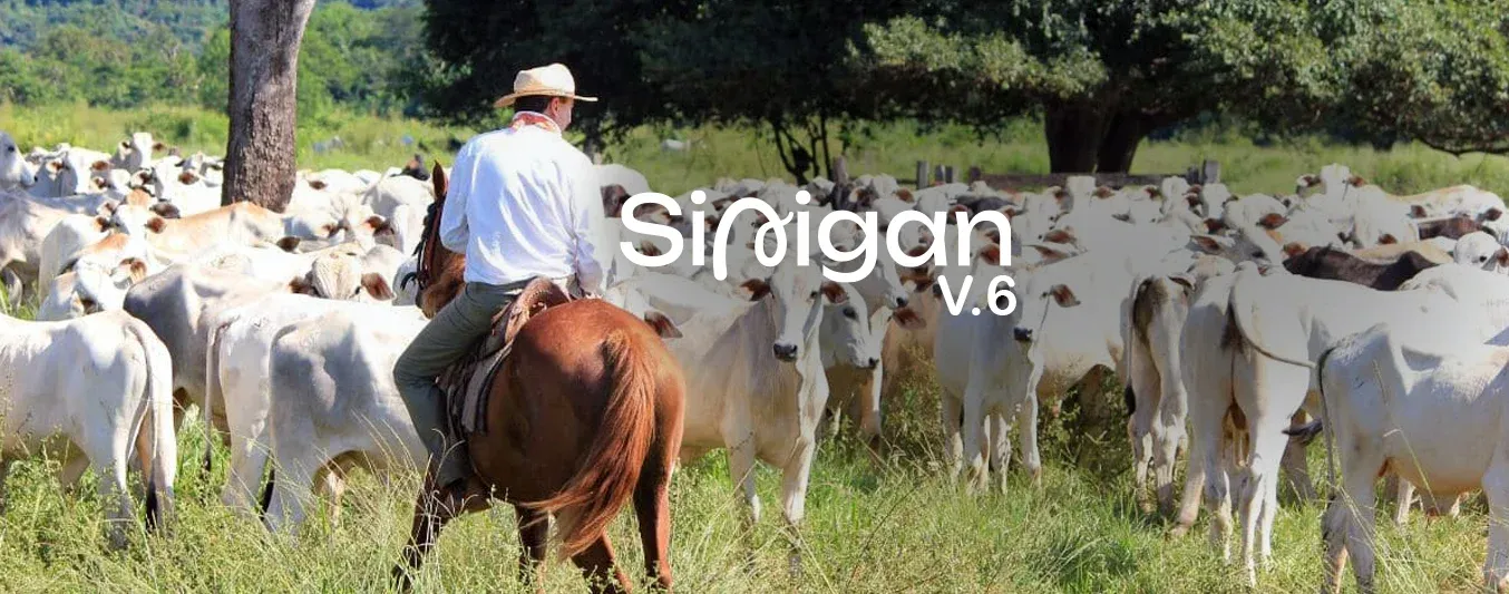 En qué etapa de la implementación del Sinigan V6 se encuentran los ganaderos