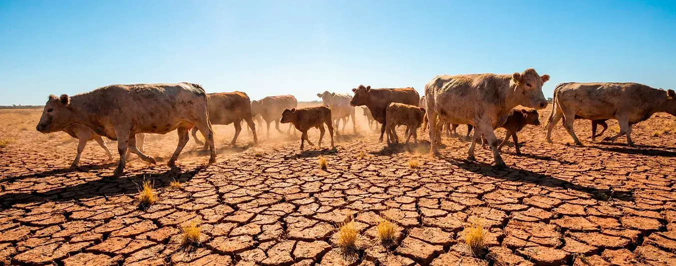 Ideam advierte por probabilidades de que el 2026 tenga un fenómeno de El Niño