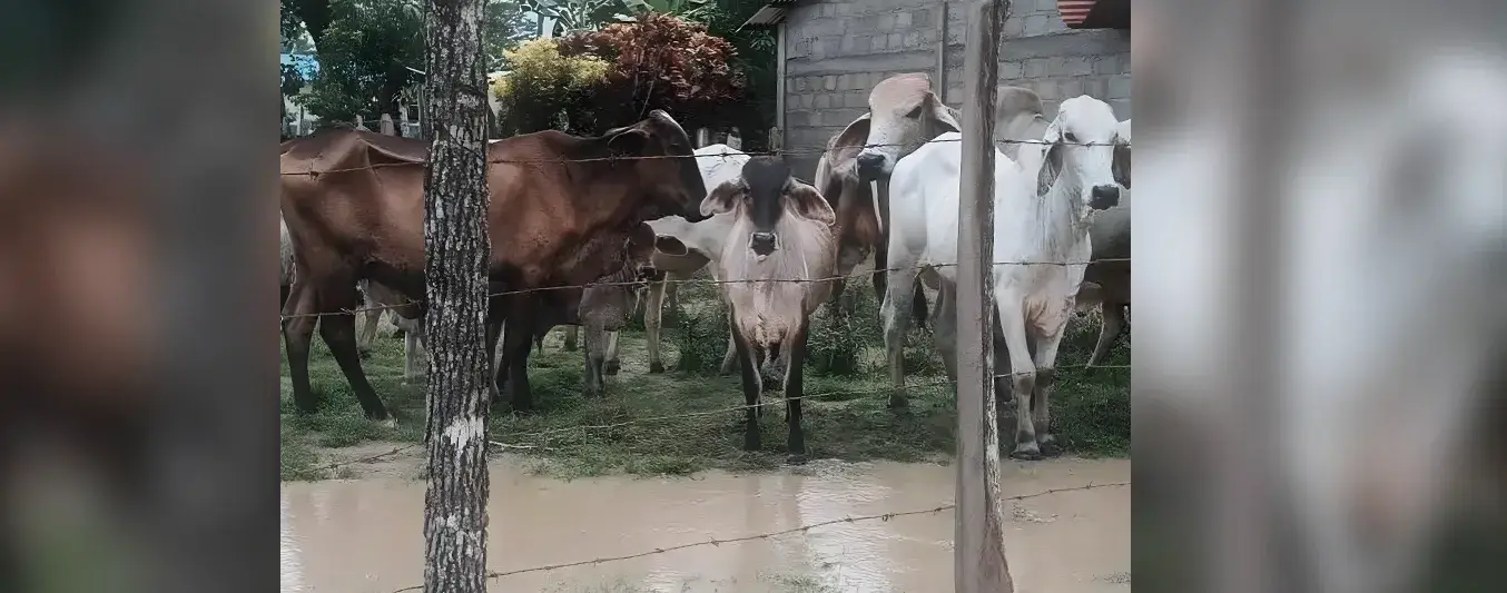 Urgencia por invierno en Córdoba