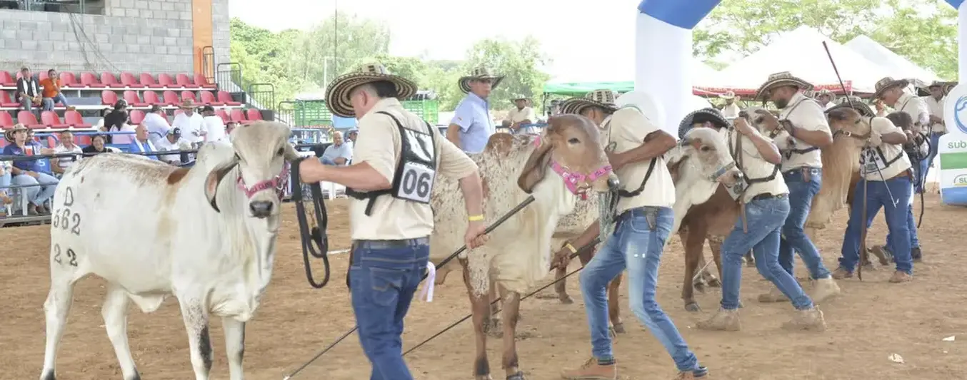 Eventos Ganaderos en octubre