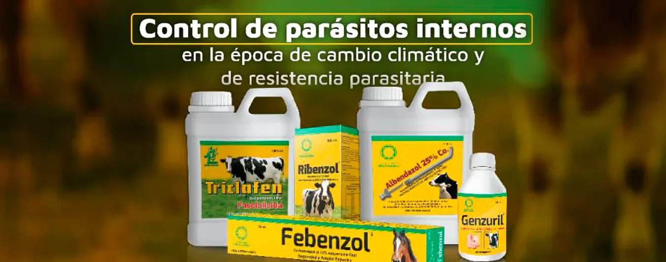 Profesionales y expertos del Eje Cafetero liderarán en Pereira una jornada enfocada en el control de parásitos