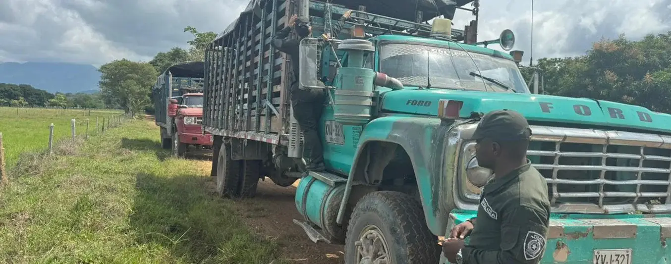 Recuperan 110 reses en flagrancia en Cesar