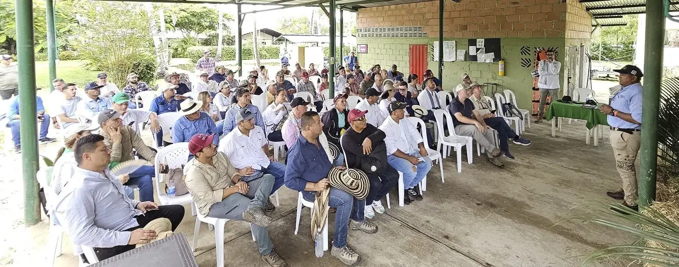 bufalo tour y tercer encuentro de bufaleros