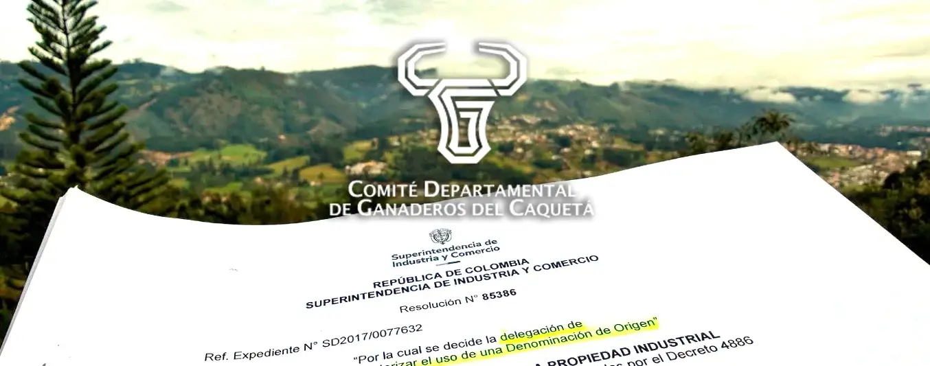Facultan al Comité Departamental de Ganaderos del Caquetá para delegar uso de denominación de origen del QC