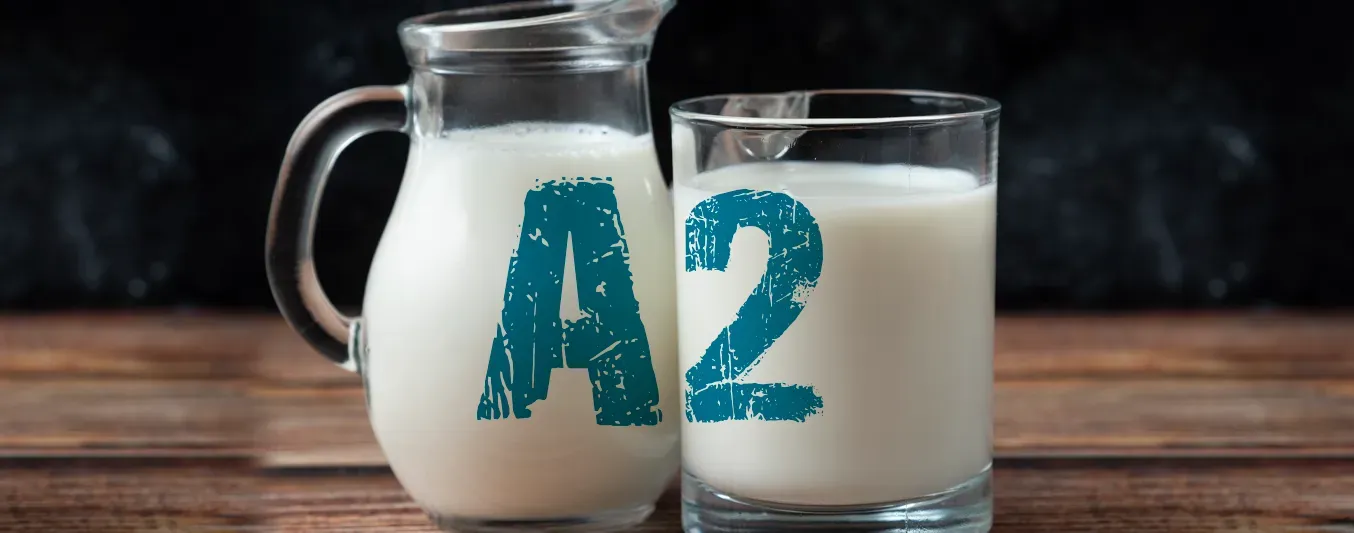 ¿Por qué producir leche A2?