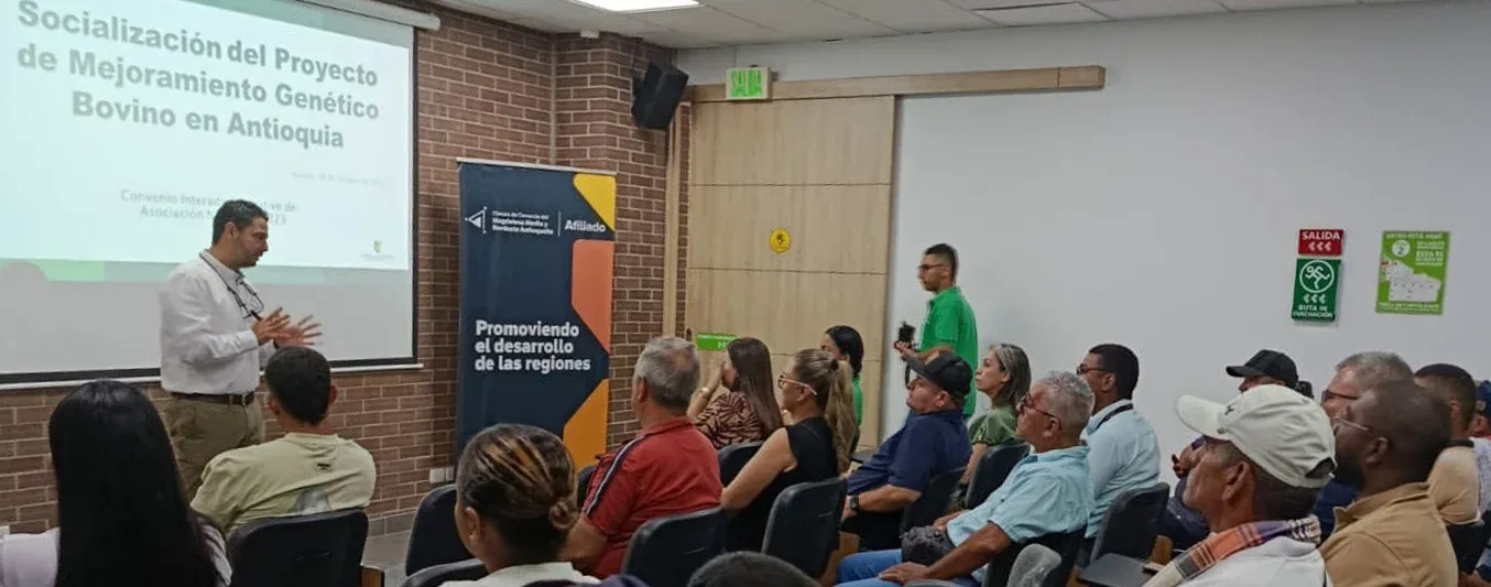 Mejoramiento genético bovino