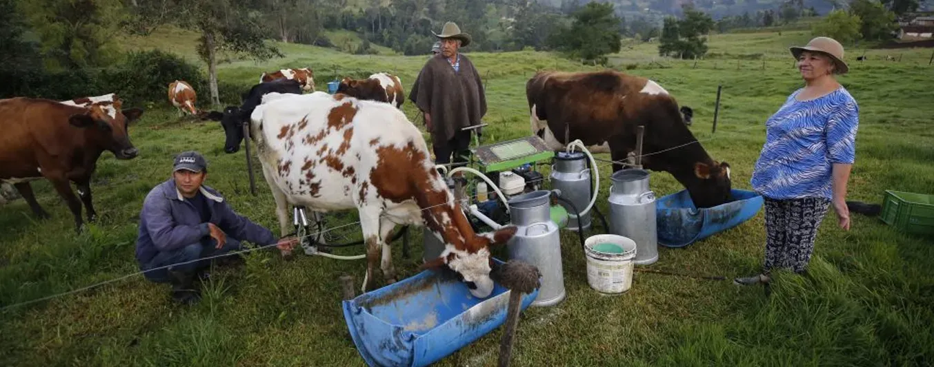 Ganaderos de Boyacá manifiestan su profundo desacuerdo