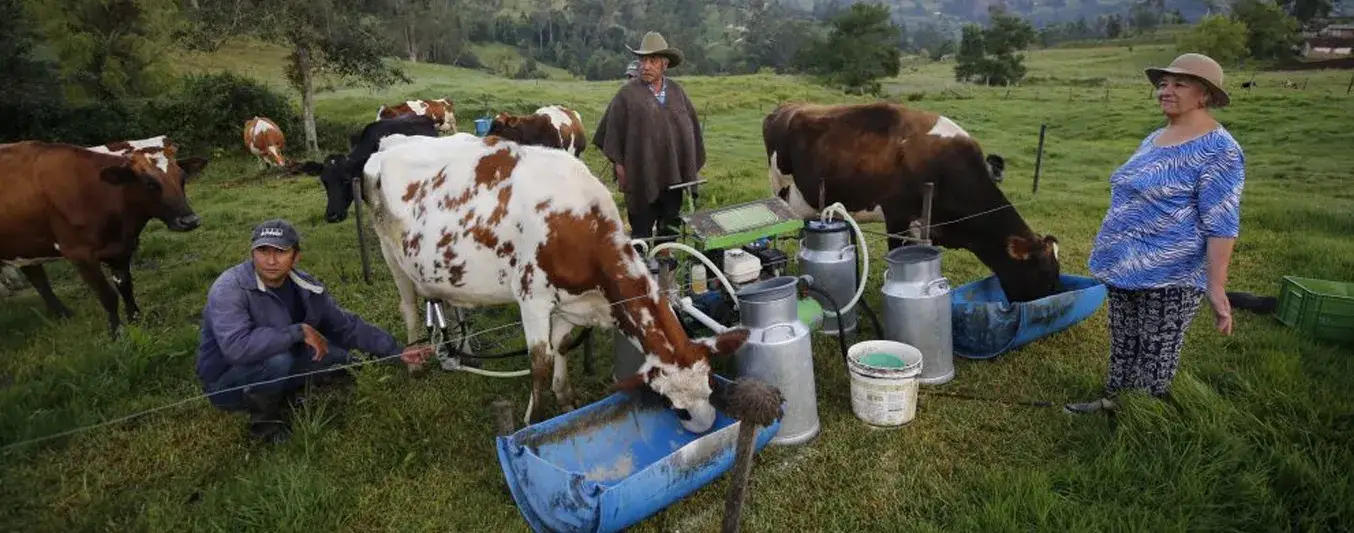 Ganaderos de Boyacá manifiestan su profundo desacuerdo