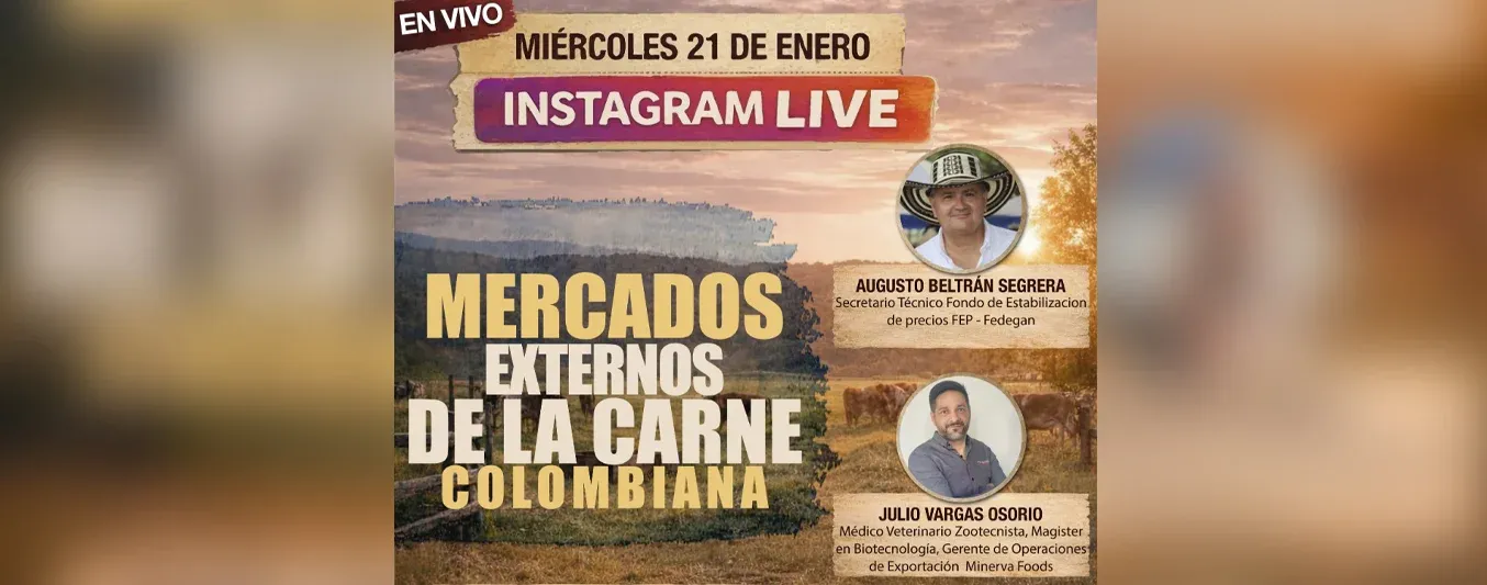 Minerva Foods IG Live