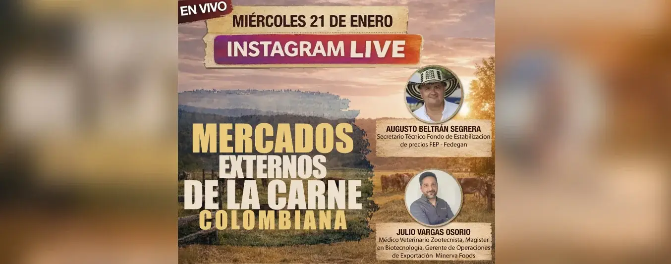 Minerva Foods IG Live