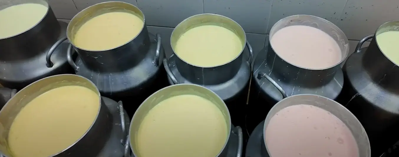 Manual práctico Ganadero - Yogurt y Kumis
