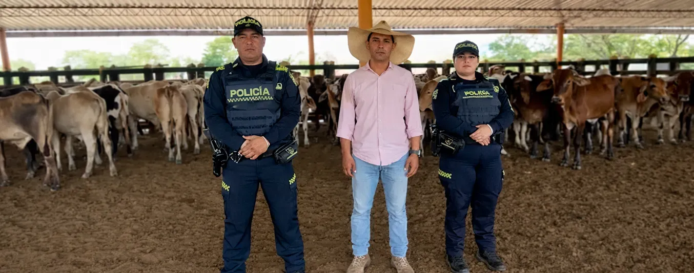 Recuperan 47 terneros en Sucre