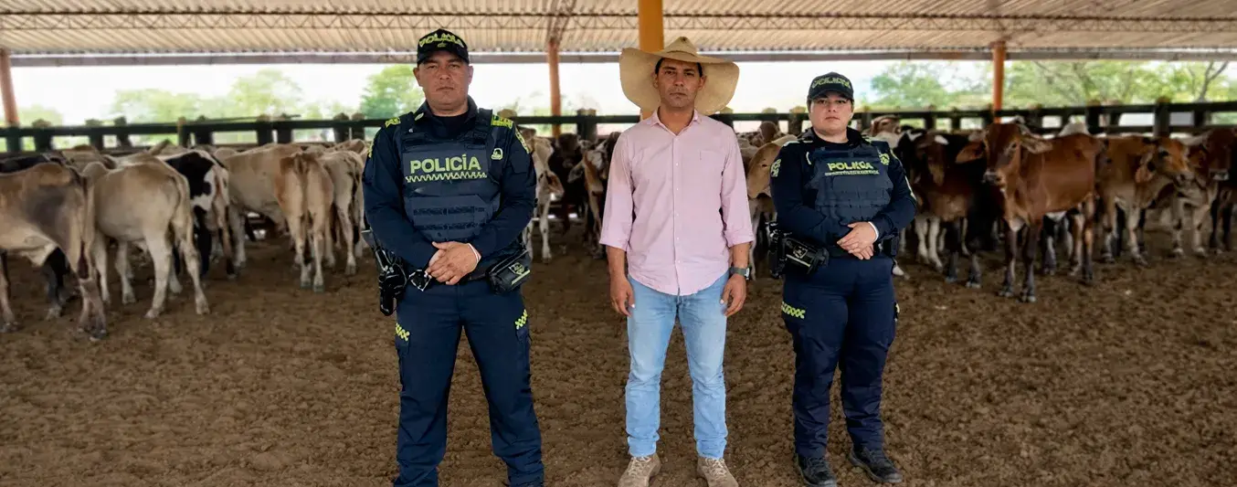 Recuperan 47 terneros en Sucre