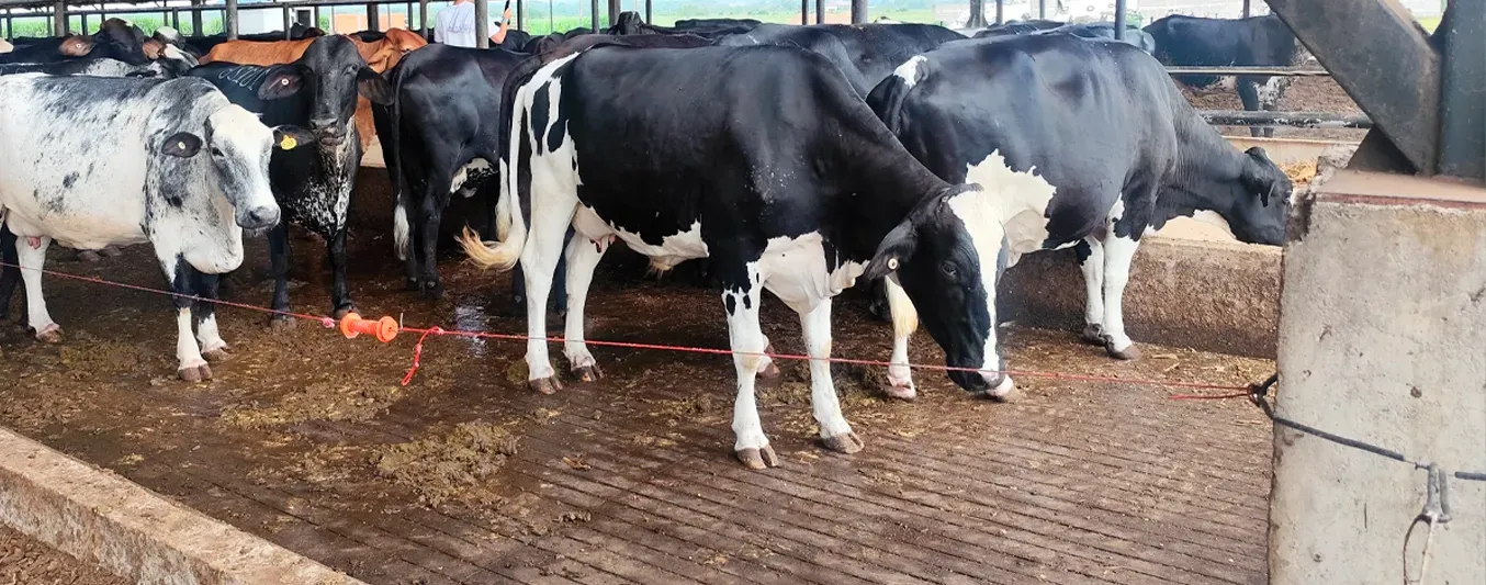 Agrolacteos Guadalupe