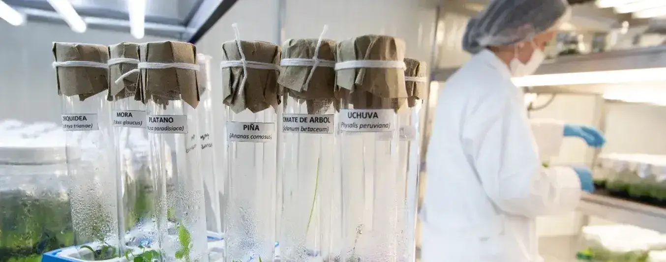 La ciencia del agro colombiano se abre camino en la élite mundial