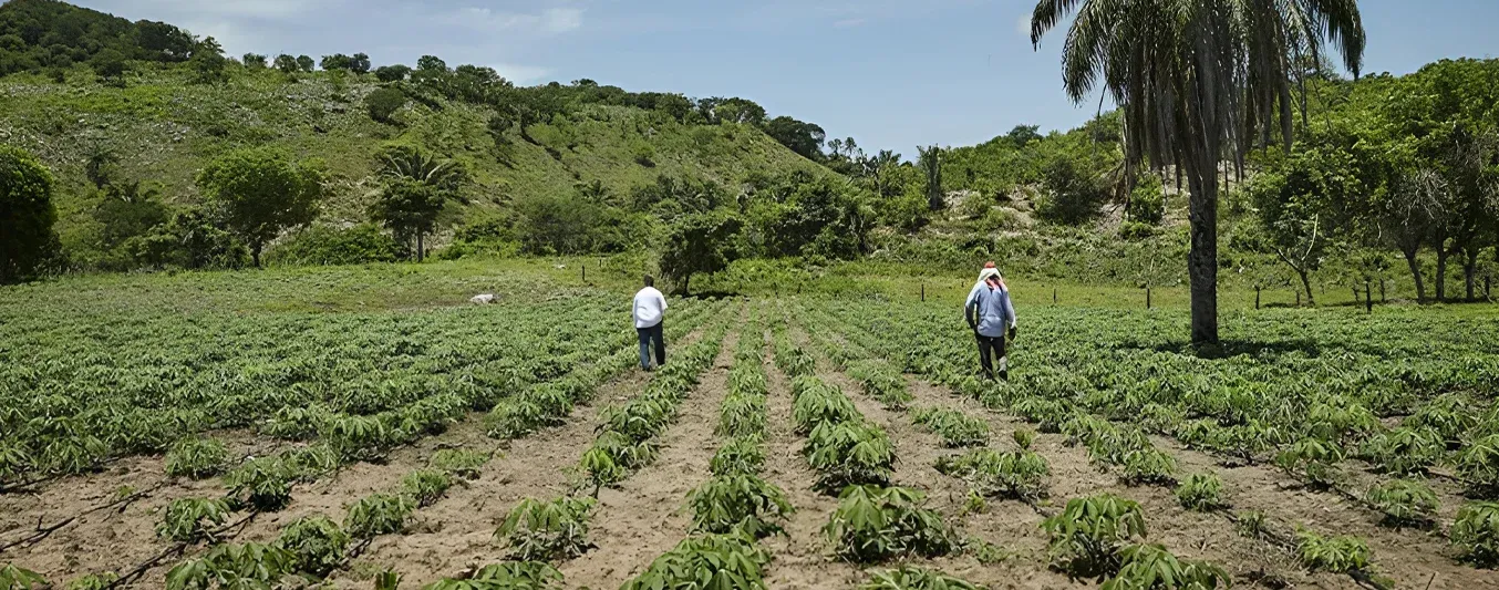 El acuerdo de tierras sigue en pie, esta es la información que se tiene