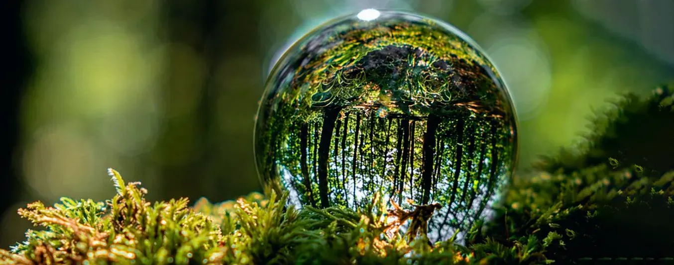 Naturaleza