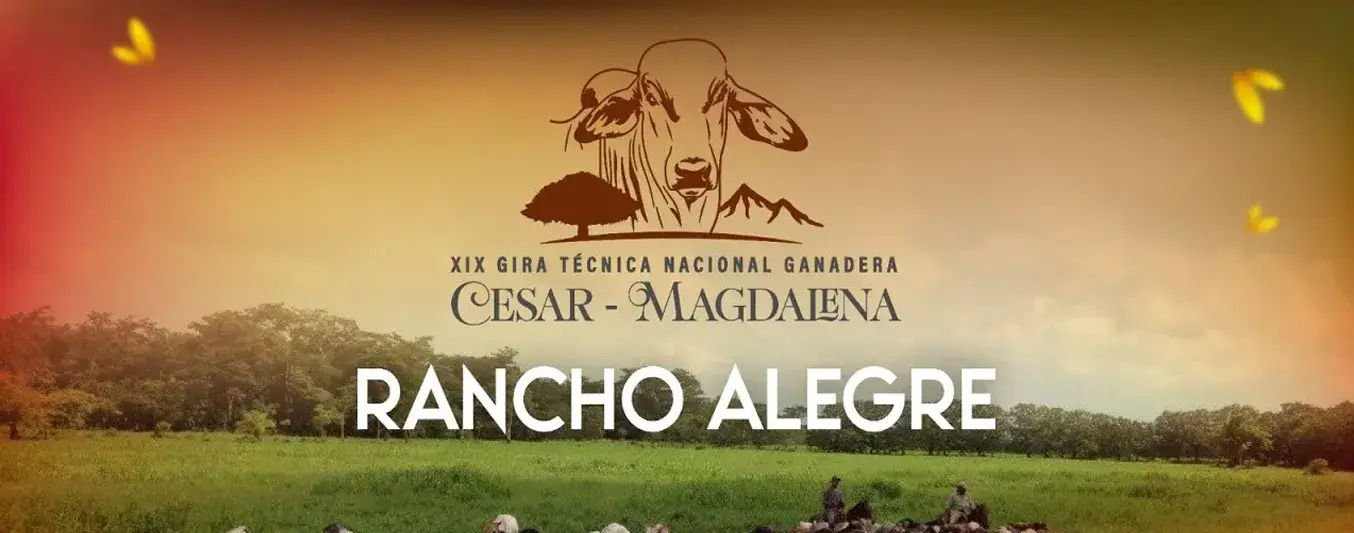 Rancho Alegre - Gira Virtual Ganadera