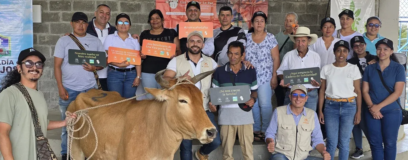 Fundagán entrega 8 novillas preñadas en Caldas