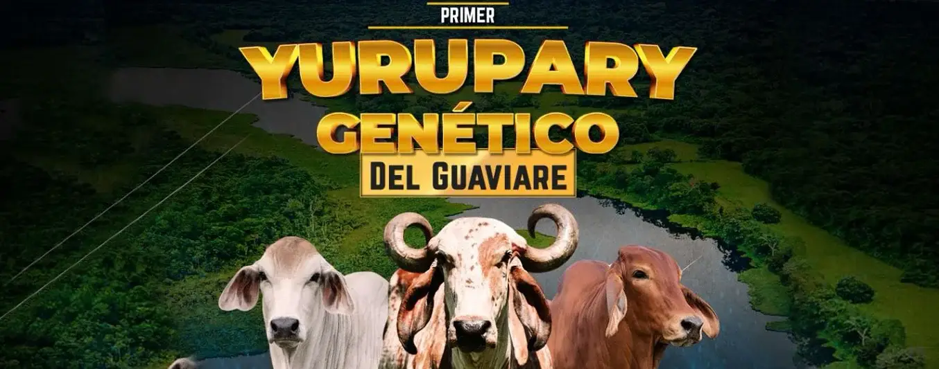 Primer Yurupary Genético