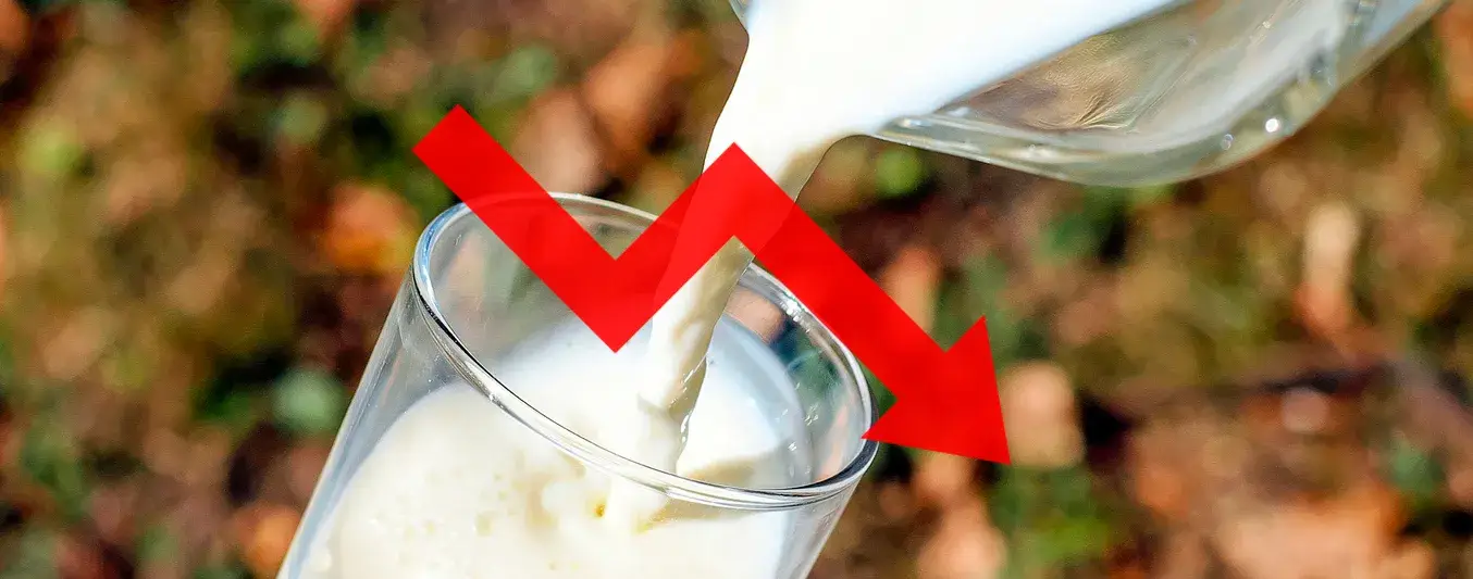 ¡Atención! Precio de leche en Arauca se desploma en 18 % hasta los $1.700 litro