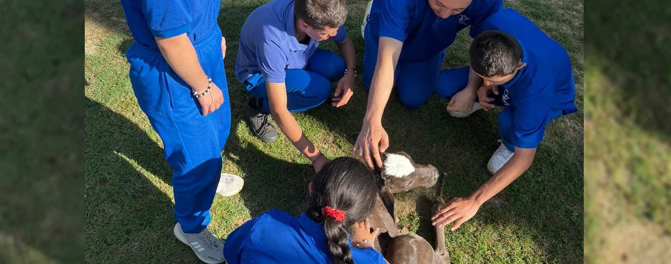 Niños especiales y ganaderos en Colombia