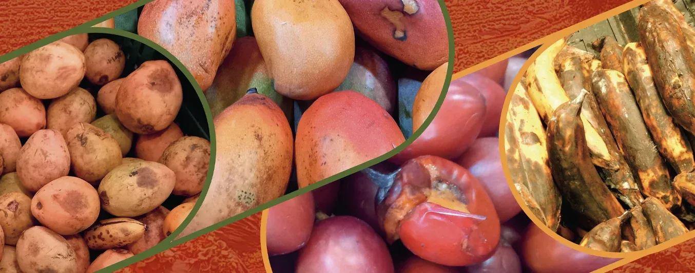 Qué porcentaje de pérdida de alimentos tiene Colombia