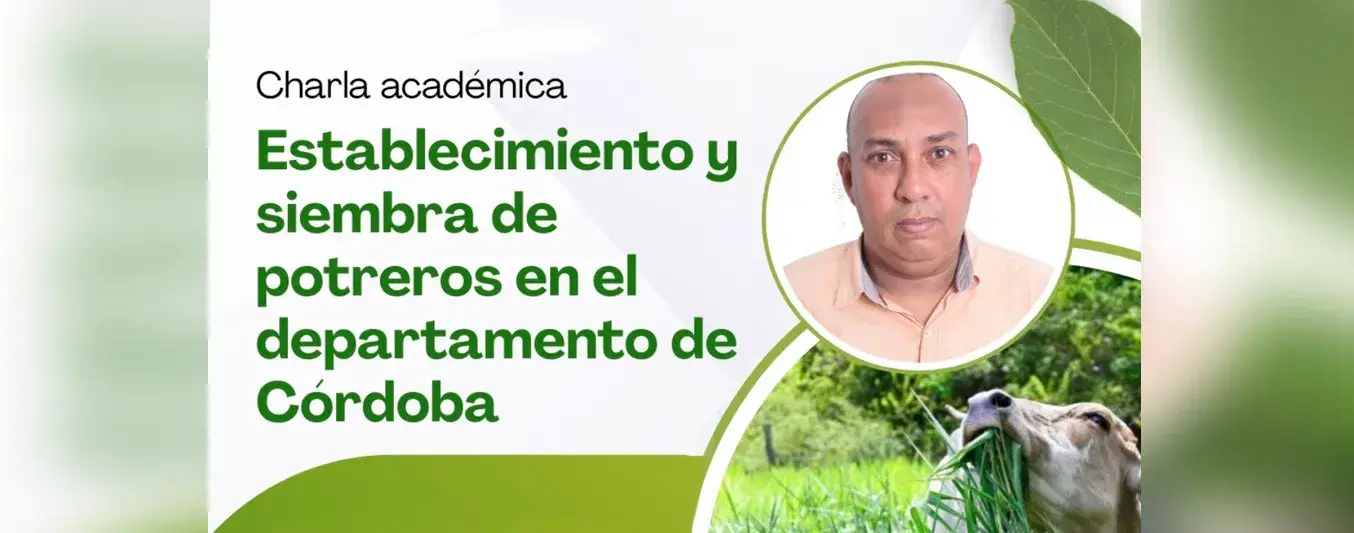 Establecimiento y siembra de potreros en el departamento de Córdoba