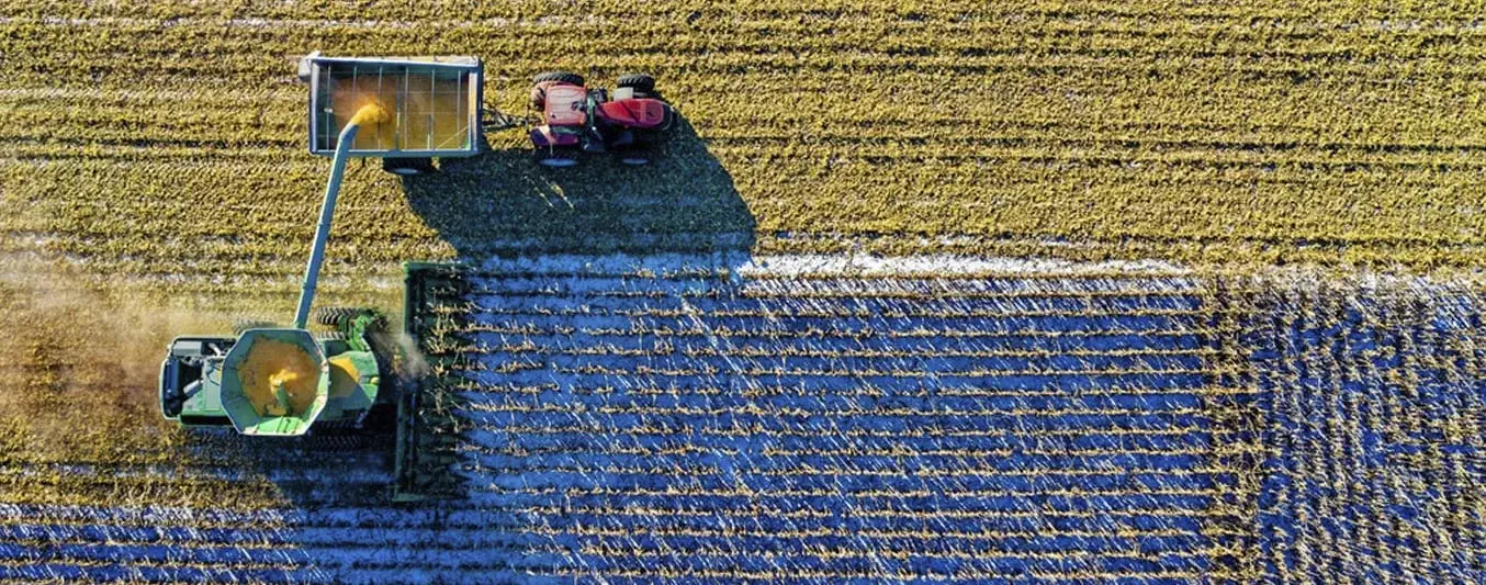 ia en Australia y cual es el futuro de la IA en el sector agro