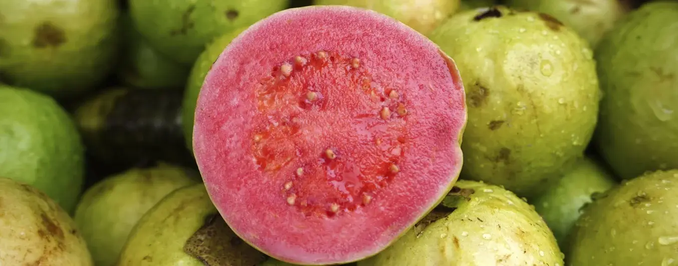 Guayaba