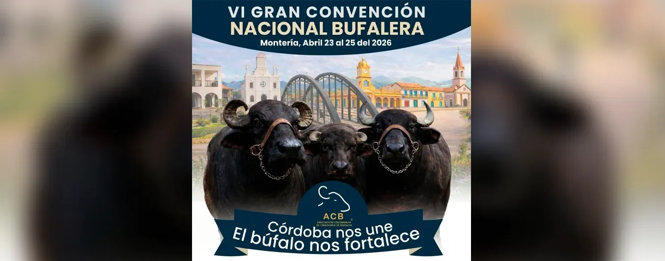 VI CONVENCIÓN NACIONAL BUFALER